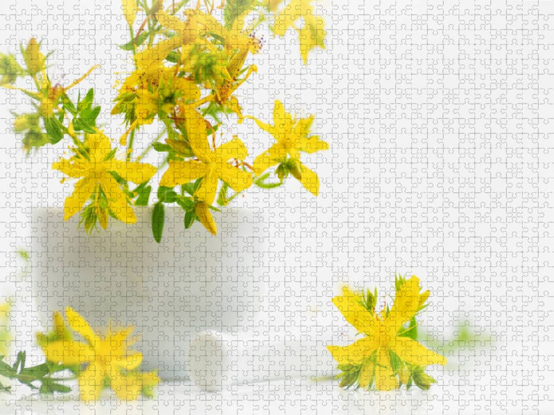 Hypericum perforatum; Johanniskraut - CALVENDO Foto-Puzzle'