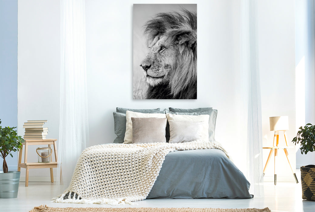 Premium Textil-Leinwand Premium Textil-Leinwand 80 cm x 120 cm  hoch Ein Motiv aus dem Kalender FineArt in Black and White: Der König der Löwen