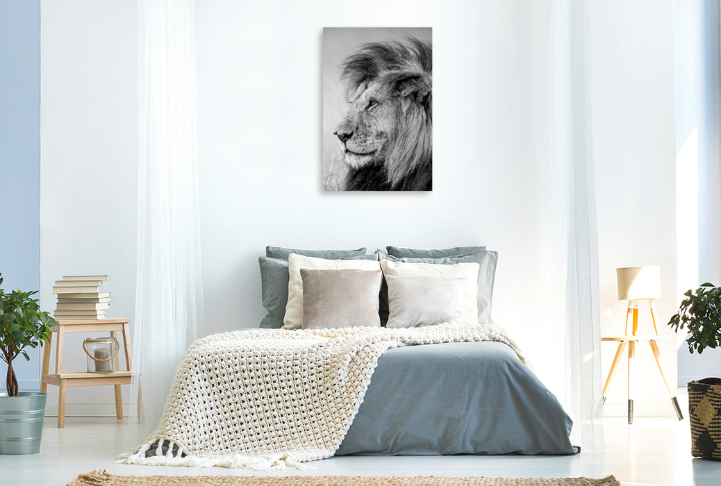Premium Textil-Leinwand Premium Textil-Leinwand 80 cm x 120 cm  hoch Ein Motiv aus dem Kalender FineArt in Black and White: Der König der Löwen