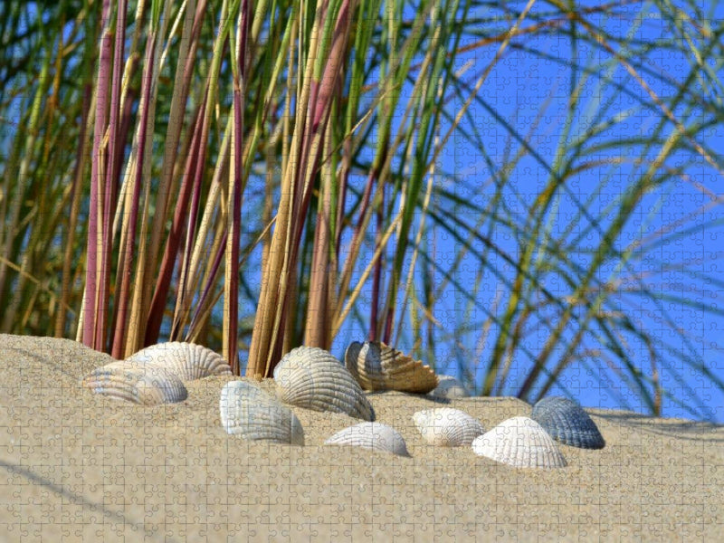 Muscheln in der Düne - CALVENDO Foto-Puzzle'