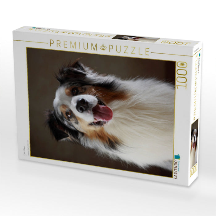 Cash, 5 Jahre - CALVENDO Foto-Puzzle'