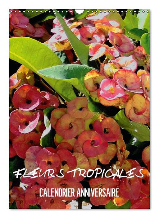 Fleurs tropicales / calendrier anniversaire (Calendrier mural Calendrier perpétuel DIN A3 vertical) (CALVENDO Calendrier mensuel 2015)