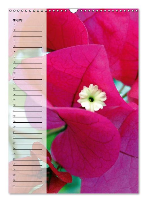 Fleurs tropicales / calendrier anniversaire (Calendrier mural Calendrier perpétuel DIN A3 vertical) (CALVENDO Calendrier mensuel 2015)