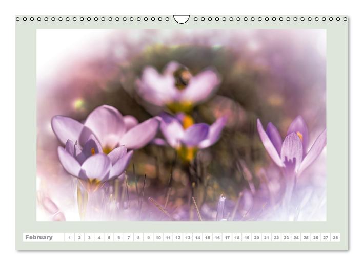 The joy of flowers (Wall Calendar perpetual DIN A3 Landscape) (CALVENDO Monthly Calendar 2015)