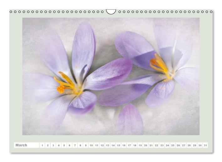 The joy of flowers (Wall Calendar perpetual DIN A3 Landscape) (CALVENDO Monthly Calendar 2015)