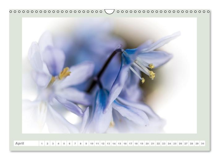 The joy of flowers (Wall Calendar perpetual DIN A3 Landscape) (CALVENDO Monthly Calendar 2015)