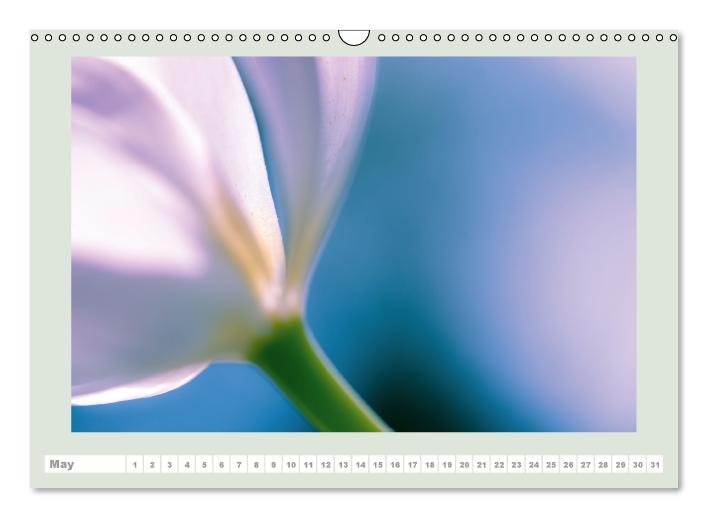 The joy of flowers (Wall Calendar perpetual DIN A3 Landscape) (CALVENDO Monthly Calendar 2015)