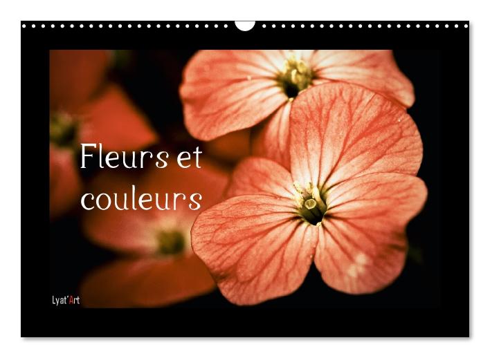 Fleurs et couleurs (Calendrier mural Calendrier perpétuel DIN A3 horizontal) (CALVENDO Calendrier mensuel 2015)