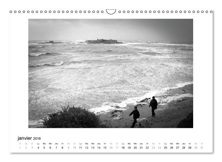 La mer en colère (Calendrier mural 2016 DIN A3 horizontal) (CALVENDO Calendrier mensuel 2016)