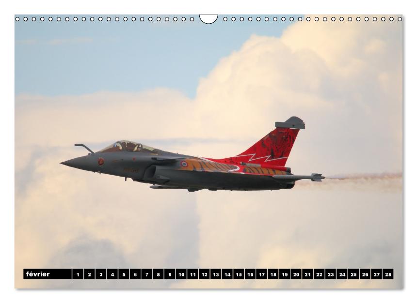 Le Rafale aux 100 ans du Bourget (Calendrier mural Calendrier perpétuel DIN A3 horizontal) (CALVENDO Calendrier mensuel 2017)