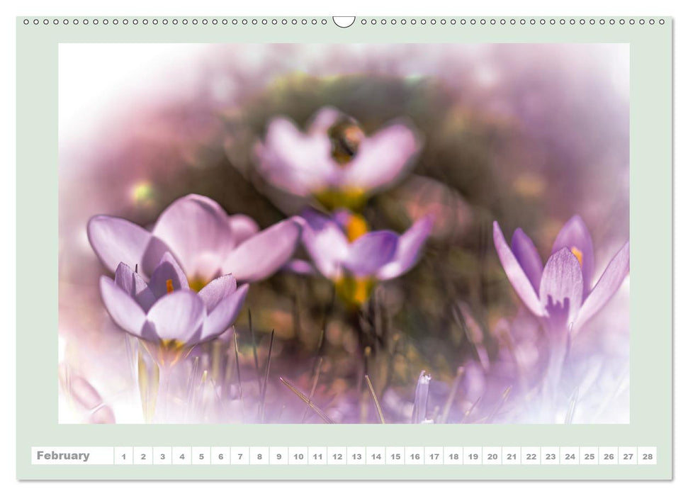 The joy of flowers (Premium-Calendar perpetual DIN A2 Landscape) (CALVENDO Premium-Calendar 2015)