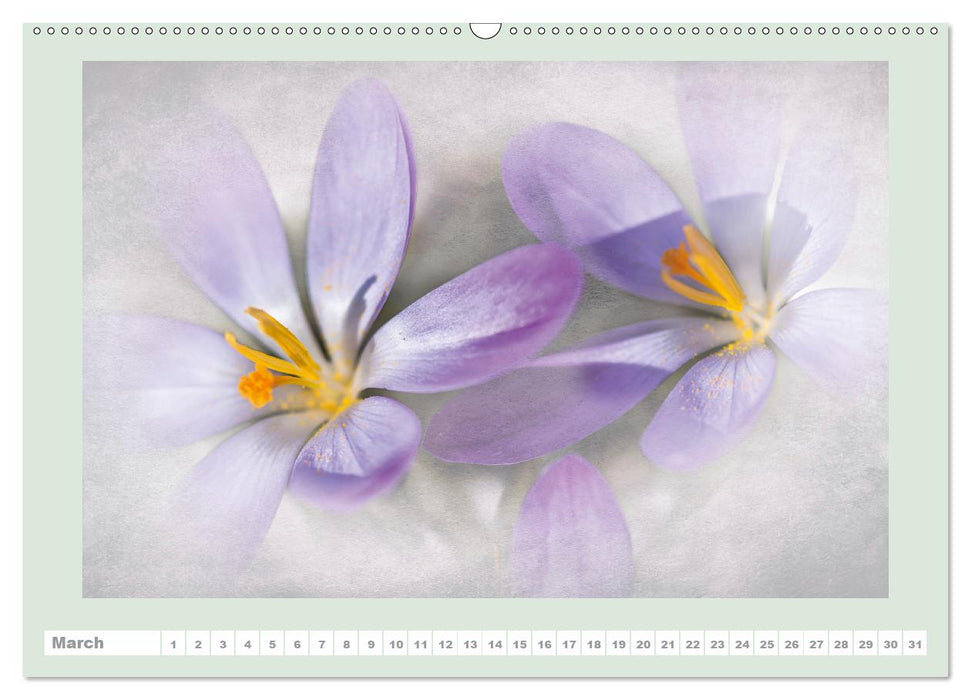 The joy of flowers (Premium-Calendar perpetual DIN A2 Landscape) (CALVENDO Premium-Calendar 2015)