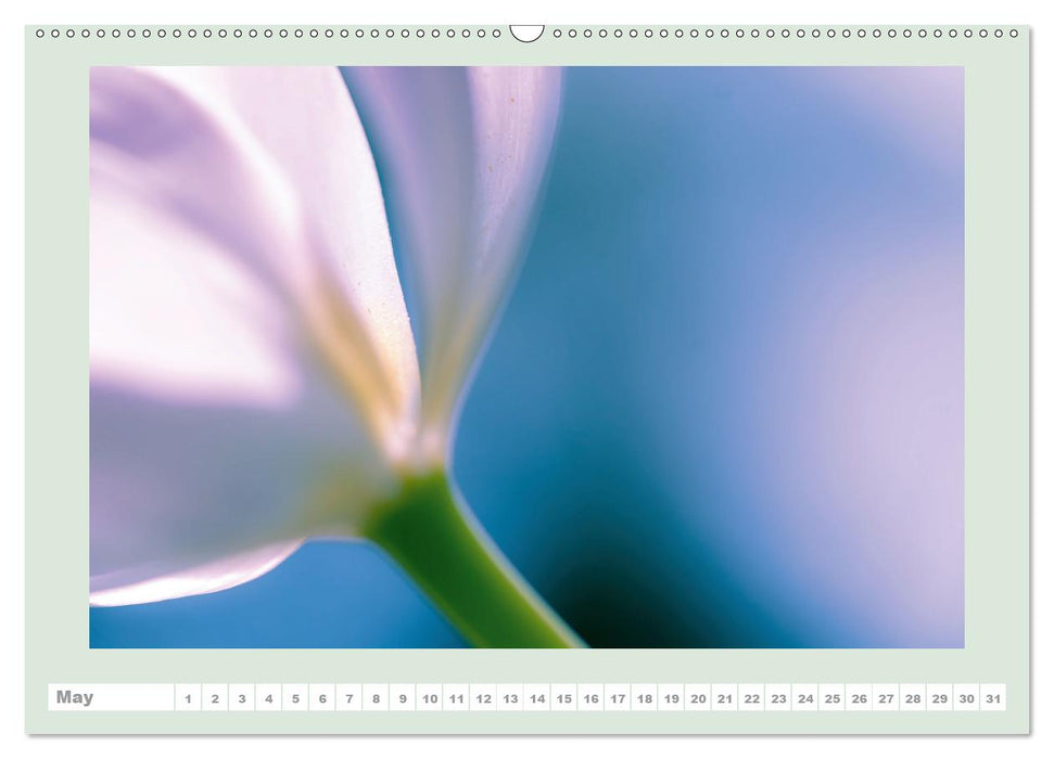 The joy of flowers (Premium-Calendar perpetual DIN A2 Landscape) (CALVENDO Premium-Calendar 2015)