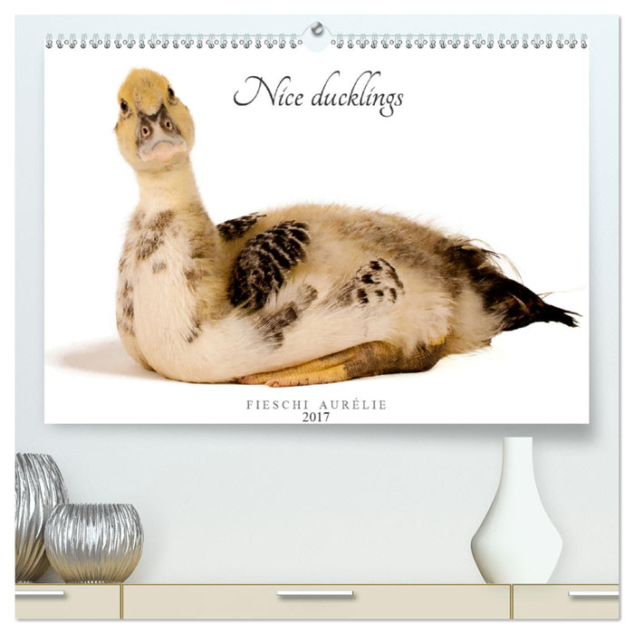 Nice ducklings (Premium-Calendar perpetual DIN A2 Landscape) (CALVENDO Premium-Calendar 2017)