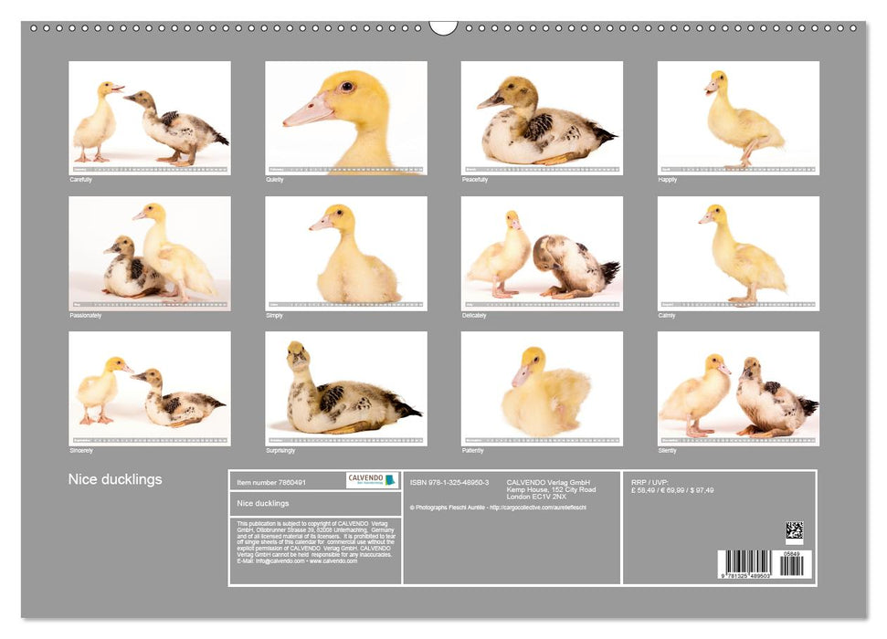 Nice ducklings (Premium-Calendar perpetual DIN A2 Landscape) (CALVENDO Premium-Calendar 2017)