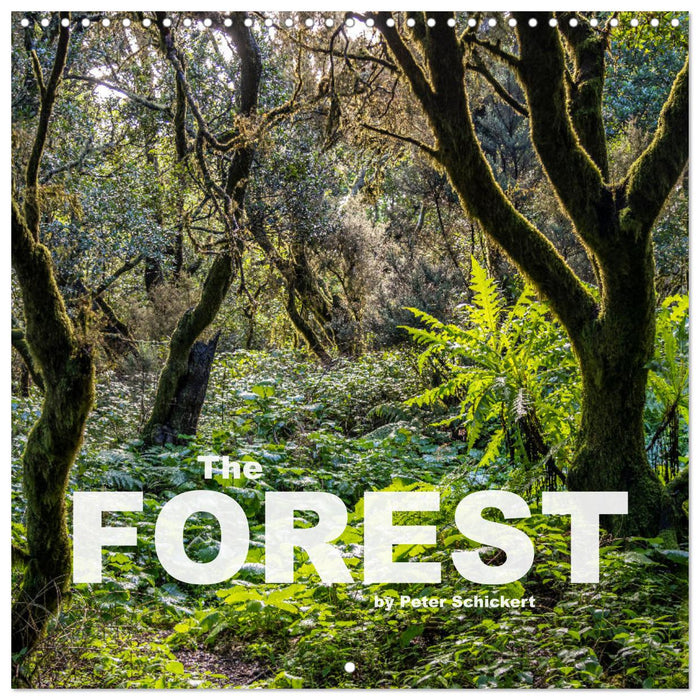 The Forest (CALVENDO Monthly Calendar 2025)