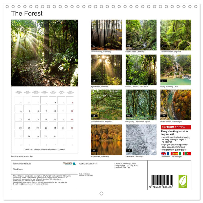 The Forest (CALVENDO Monthly Calendar 2025)