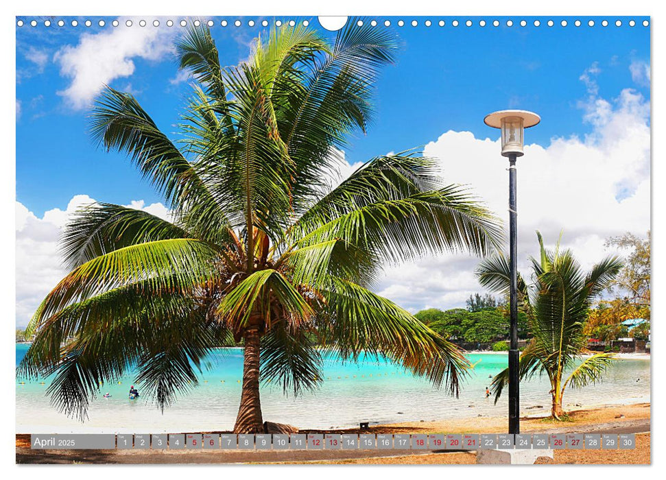 Mauritius A Tropical Paradise in The Indian Ocean (CALVENDO Monthly Calendar 2025)