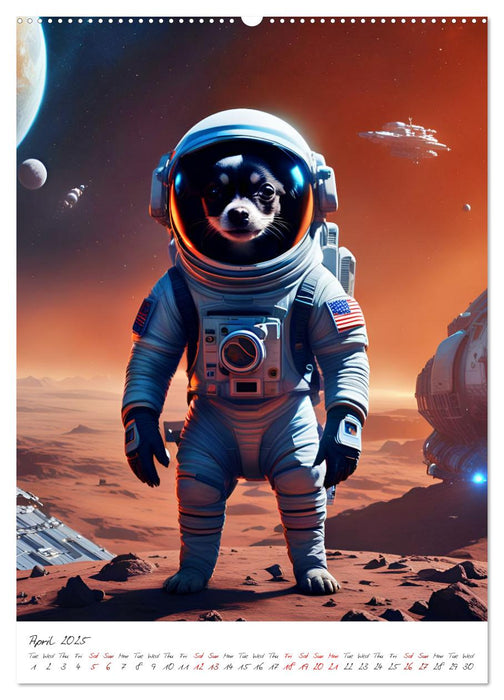 Chihuahua Adventure in Space (CALVENDO Monthly Calendar 2025)