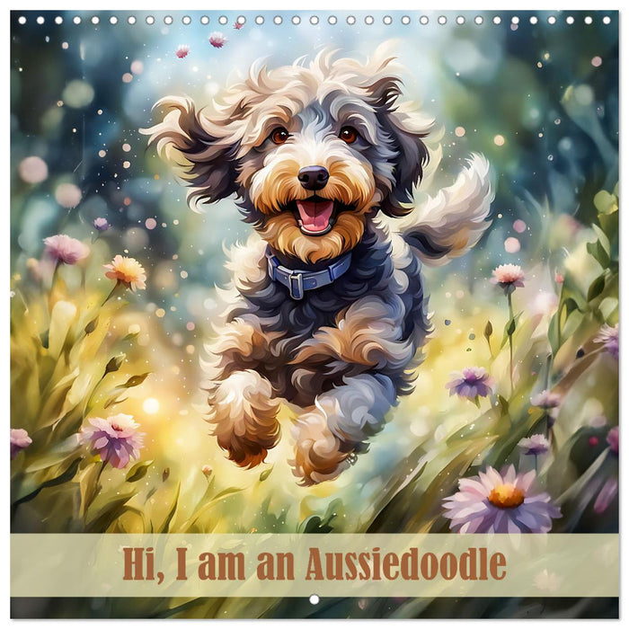 Hi, I am an Aussiedoodle (CALVENDO Monthly Calendar 2025)