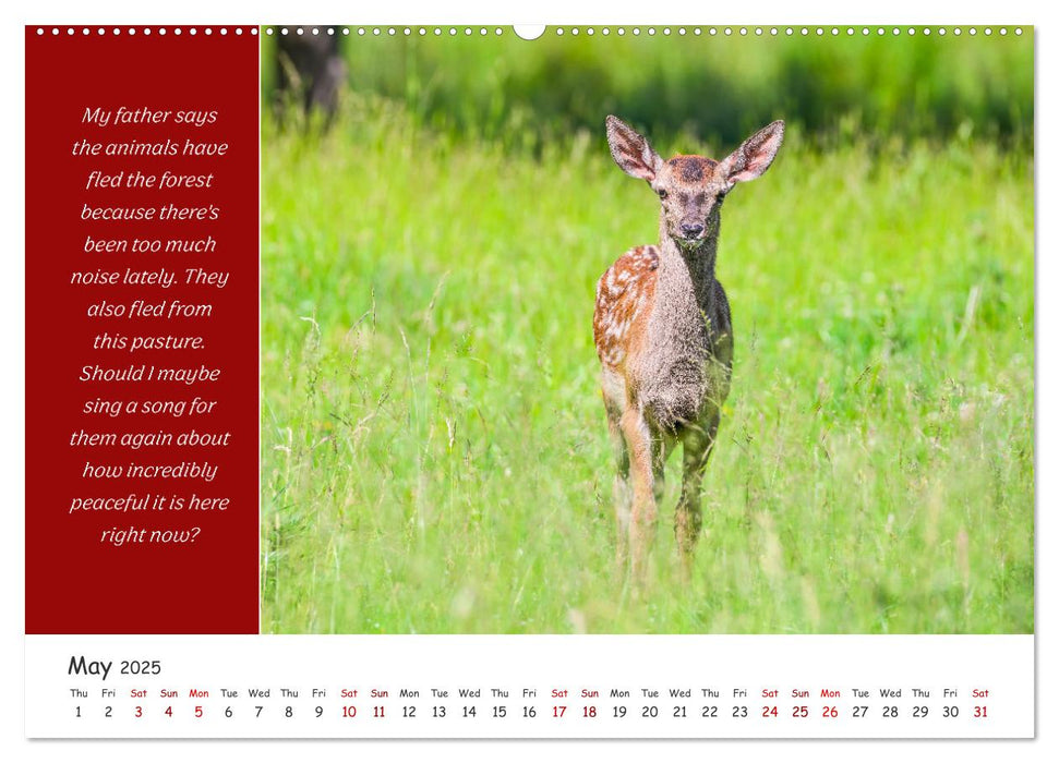 Animals like humour (CALVENDO Monthly Calendar 2025)