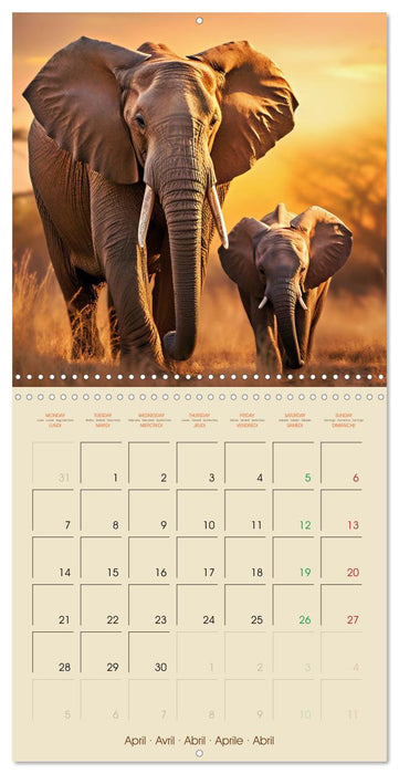 Let's go on Safari - Animal babies in Africa (CALVENDO Monthly Calendar 2025)