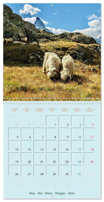 Discover Zermatt - Matterhorn - Switzerland (CALVENDO Monthly Calendar 2025)