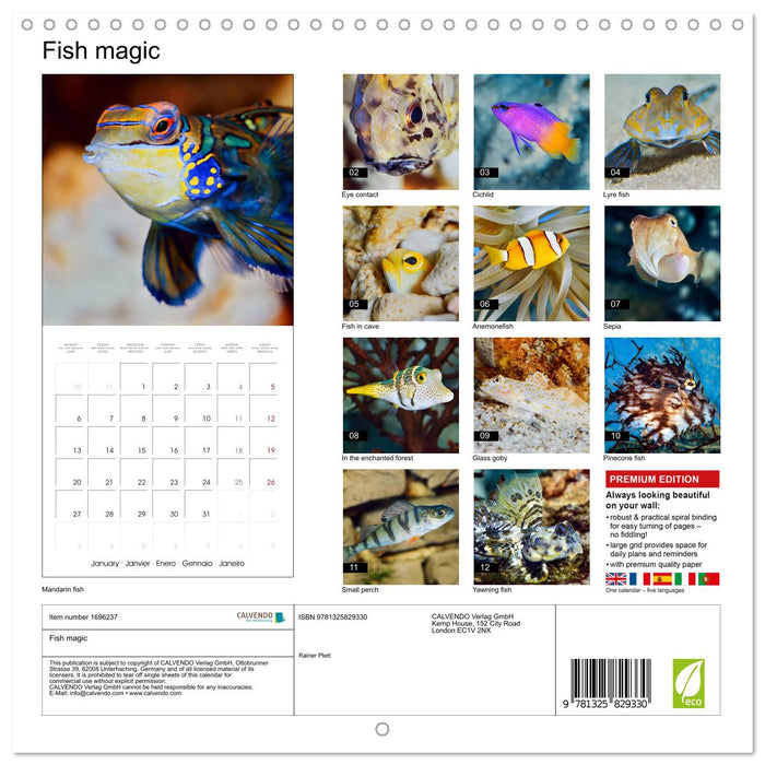 Fish magic (CALVENDO Monthly Calendar 2025)