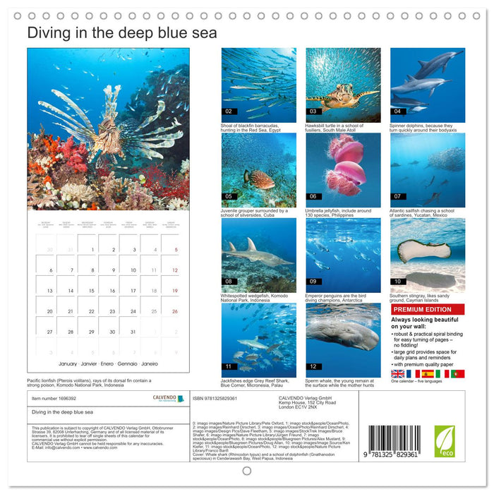 Diving in the deep blue sea (CALVENDO Monthly Calendar 2025)