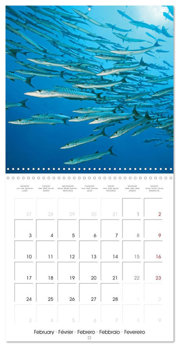 Diving in the deep blue sea (CALVENDO Monthly Calendar 2025)