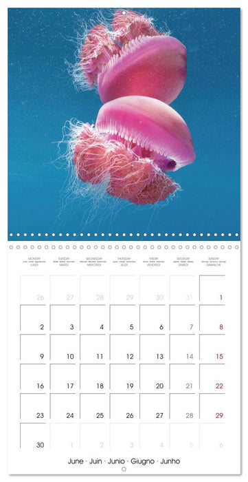 Diving in the deep blue sea (CALVENDO Monthly Calendar 2025)