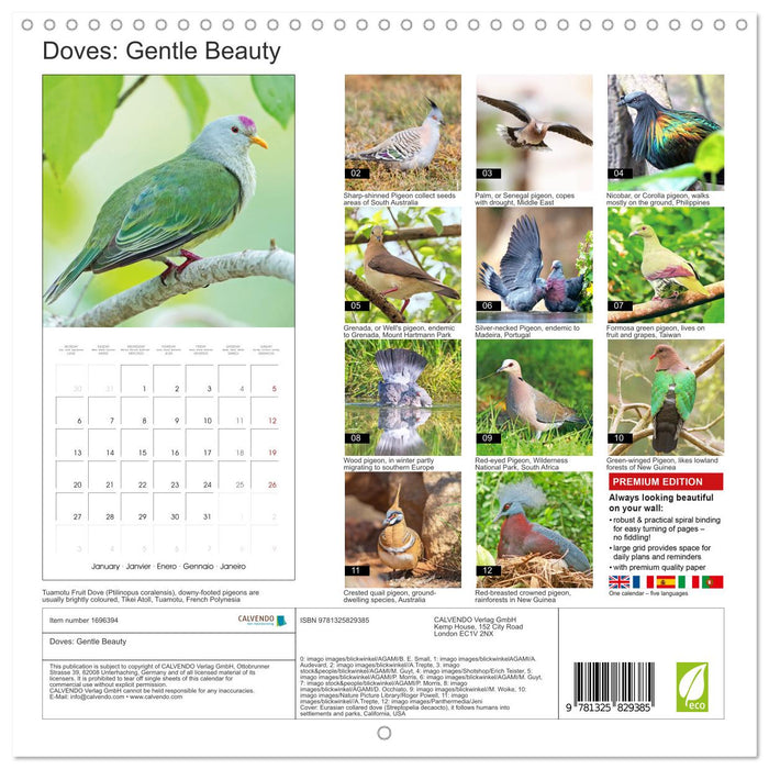 Doves: Gentle Beauty (CALVENDO Monthly Calendar 2025)