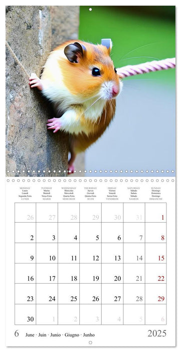 Adventure sports with AI hamsters (CALVENDO Monthly Calendar 2025)