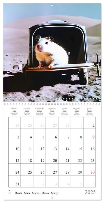 AI Hamster Astronauts exploring the Cosmos (CALVENDO Monthly Calendar 2025)