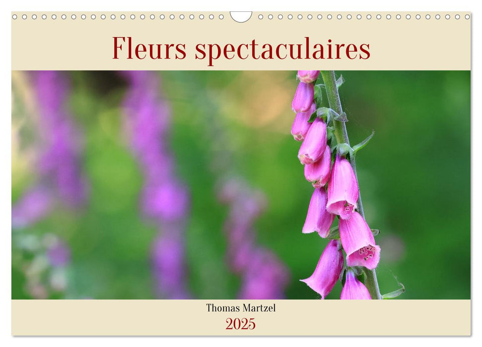 Les spectaculaires fleurs du jardin et d'ailleurs (CALVENDO Calendrier mensuel 2025)