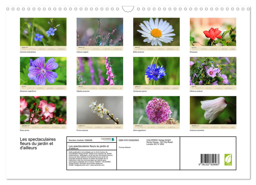 Les spectaculaires fleurs du jardin et d'ailleurs (CALVENDO Calendrier mensuel 2025)