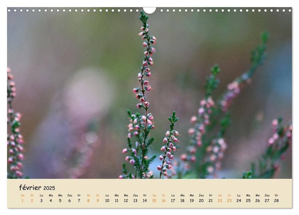 Les spectaculaires fleurs du jardin et d'ailleurs (CALVENDO Calendrier mensuel 2025)