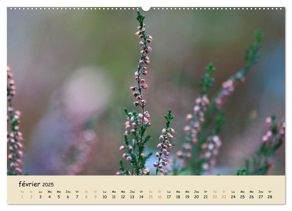 Les spectaculaires fleurs du jardin et d'ailleurs (CALVENDO Calendrier supérieur 2025)