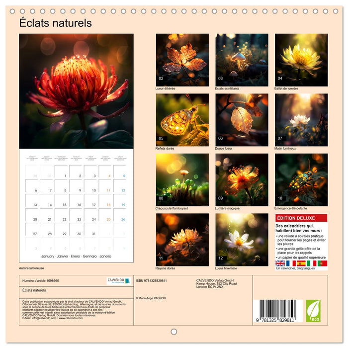 Éclats naturels (CALVENDO Calendrier mensuel 2025)