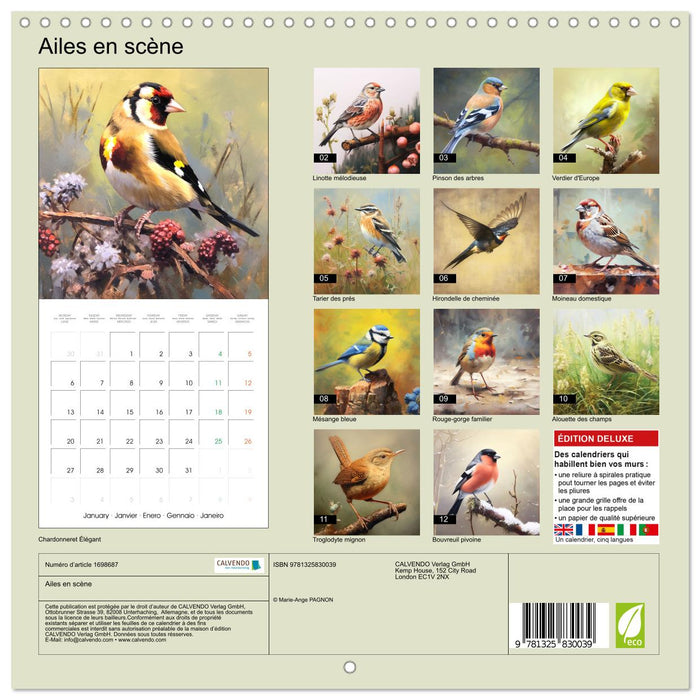 Ailes en scène (CALVENDO Calendrier mensuel 2025)