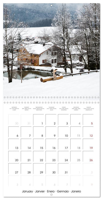 GERMANY Urban views and scenery (CALVENDO Monthly Calendar 2025)