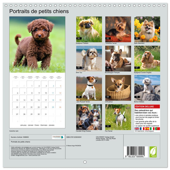 Portraits de petits chiens (CALVENDO Calendrier mensuel 2025)