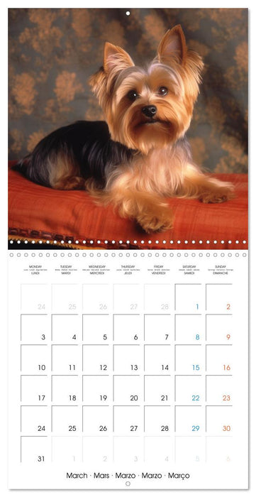 Portraits de petits chiens (CALVENDO Calendrier mensuel 2025)