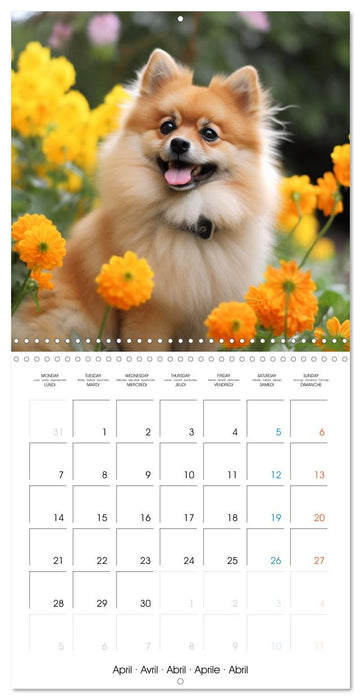 Portraits de petits chiens (CALVENDO Calendrier mensuel 2025)