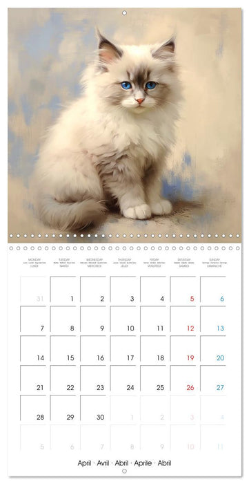 Illustrations Chatons (CALVENDO Calendrier mensuel 2025)