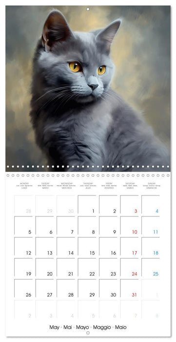 Illustrations Chatons (CALVENDO Calendrier mensuel 2025)