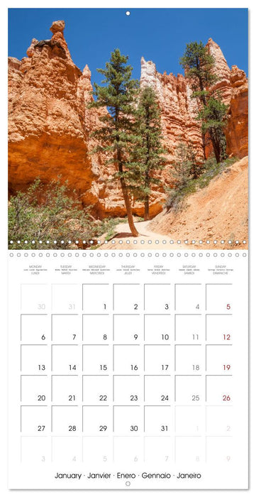 US HIGHLIGHTS Unique Landscapes (CALVENDO Monthly Calendar 2025)