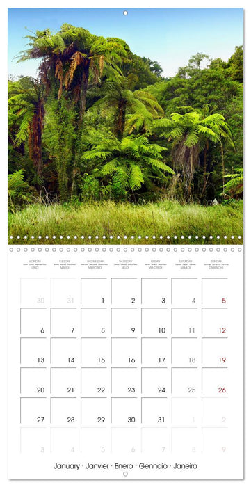 New Zealand Best places to travel (CALVENDO Monthly Calendar 2025)