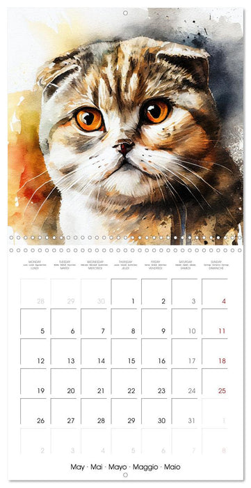 Artistic Cat Breeds (CALVENDO Monthly Calendar 2025)