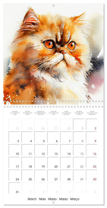 Cat Breeds in Watercolor (CALVENDO Monthly Calendar 2025)